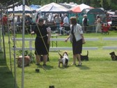 Enlarge photo 51