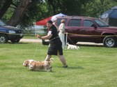 Enlarge photo 112