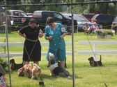 Enlarge photo 48