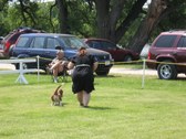 Enlarge photo 114
