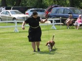 Enlarge photo 115