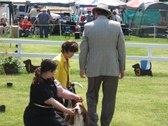 Enlarge photo 70