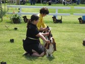 Enlarge photo 71