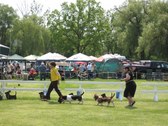 Enlarge photo 62