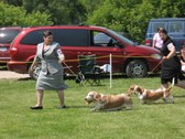 Enlarge photo 118