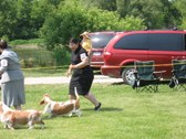 Enlarge photo 116