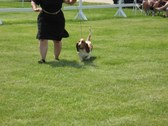 Enlarge photo 82