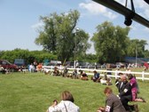 Enlarge photo 96
