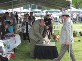 Enlarge photo 104