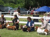 Enlarge photo 110