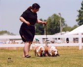 Enlarge photo 7