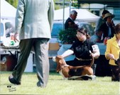 Enlarge photo 12