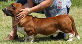 Enlarge photo 16