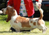 Enlarge photo 20