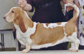 Enlarge photo 37