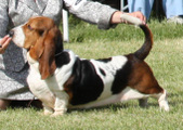 Enlarge photo 45