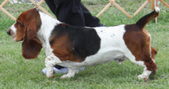 Enlarge photo 46