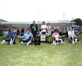 Enlarge photo 42