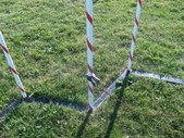 Enlarge photo 43