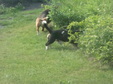 Enlarge photo 21