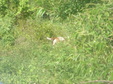 Enlarge photo 25