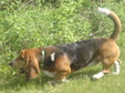 Enlarge photo 30