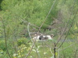 Enlarge photo 43
