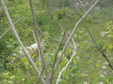 Enlarge photo 44