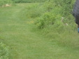 Enlarge photo 45