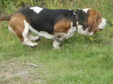 Enlarge photo 46