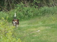 Enlarge photo 47