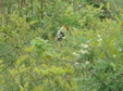 Enlarge photo 48