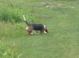 Enlarge photo 49