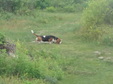 Enlarge photo 50