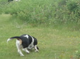 Enlarge photo 52