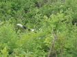 Enlarge photo 54