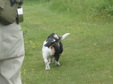 Enlarge photo 53
