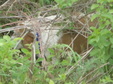 Enlarge photo 55
