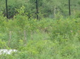 Enlarge photo 65
