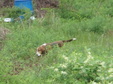 Enlarge photo 67