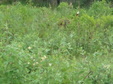 Enlarge photo 70