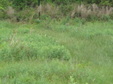 Enlarge photo 72