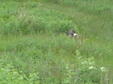 Enlarge photo 73