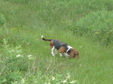 Enlarge photo 74