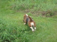 Enlarge photo 75