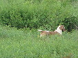 Enlarge photo 76