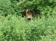 Enlarge photo 77