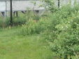 Enlarge photo 78
