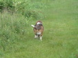 Enlarge photo 79