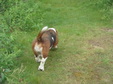 Enlarge photo 80